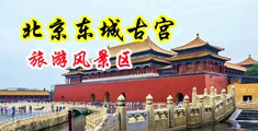 穴屌免费AV中国北京-东城古宫旅游风景区